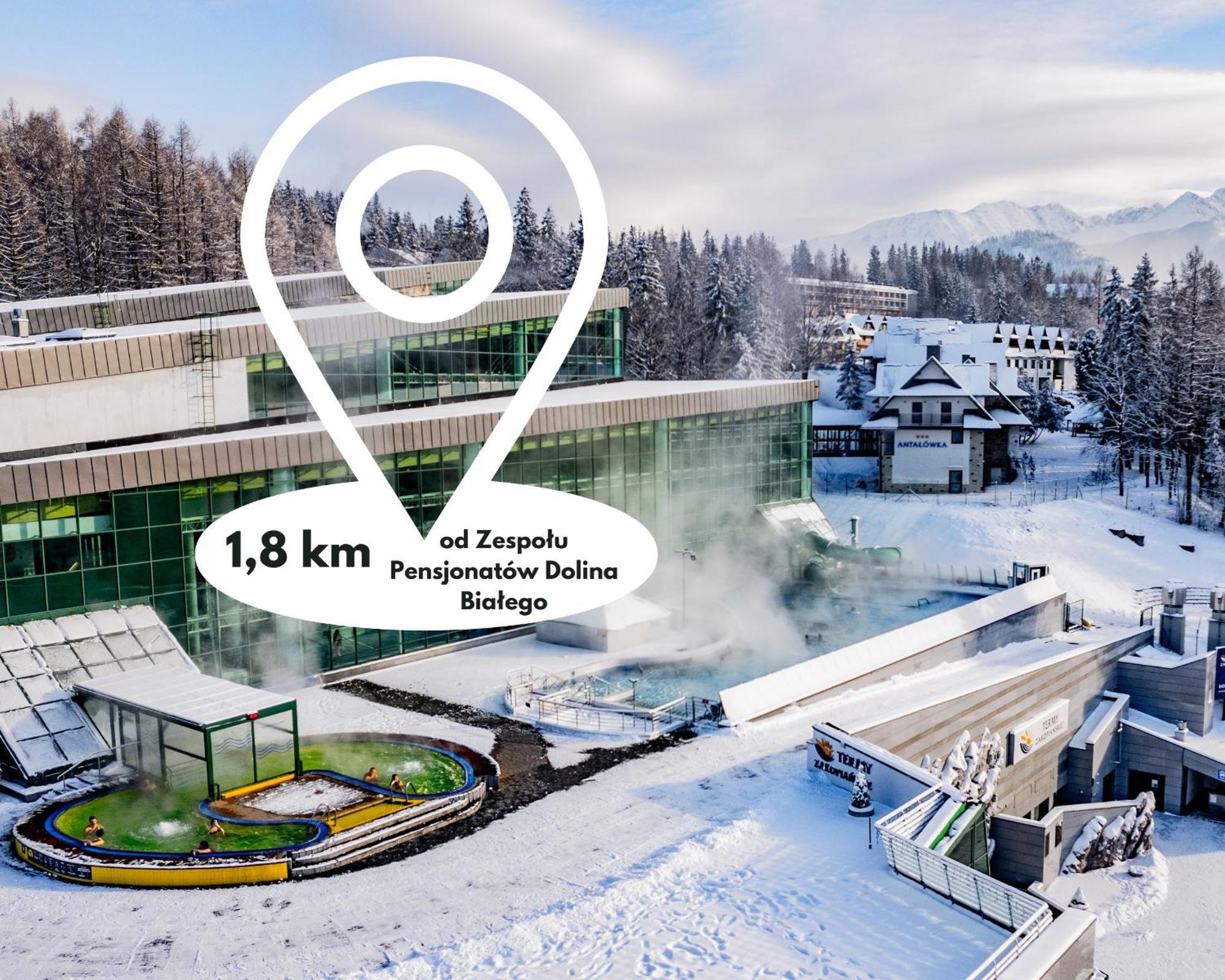 Zespol Dolina Bialego - Willa Pan Tadeusz Zakopane Buitenkant foto