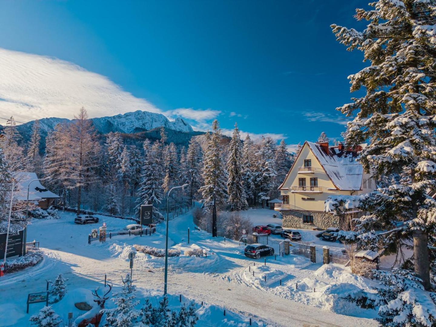 Zespol Dolina Bialego - Willa Pan Tadeusz Zakopane Buitenkant foto